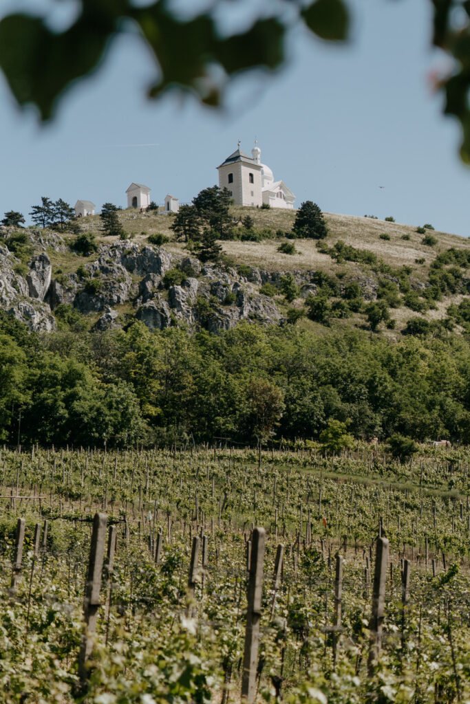 Wedding in Mikulov, Wedding in moravia, photographer moravia, wedding photographer czech republic, wedding in czechia, elopement, engagement, czech wedding photographer, moravia, mikulov, wedding venue