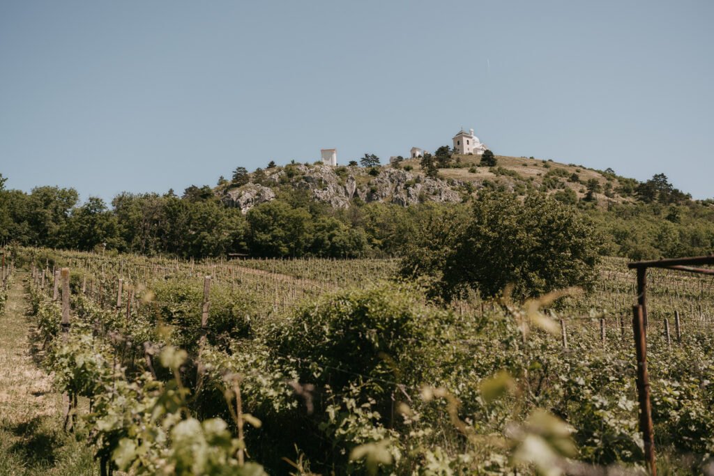 Wedding in Mikulov, Wedding in moravia, photographer moravia, wedding photographer czech republic, wedding in czechia, elopement, engagement, czech wedding photographer