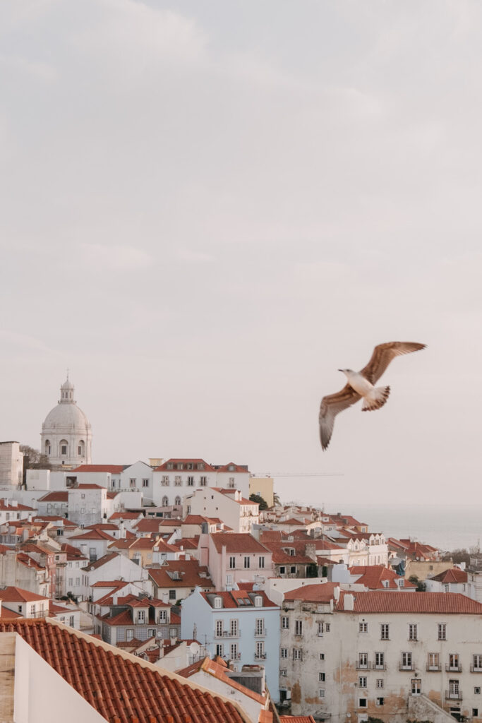 engagement photoshoot in Lisbon, lisbon photographer