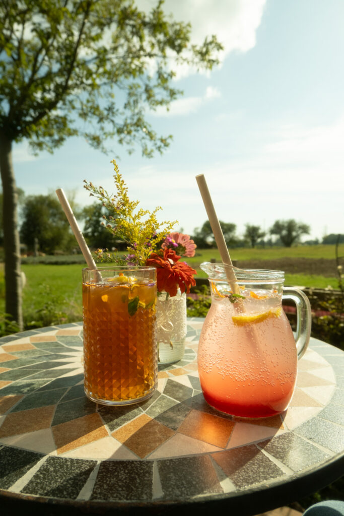 Zahrady Myšlín - Resort & Accommodation Photography, hotel photographer