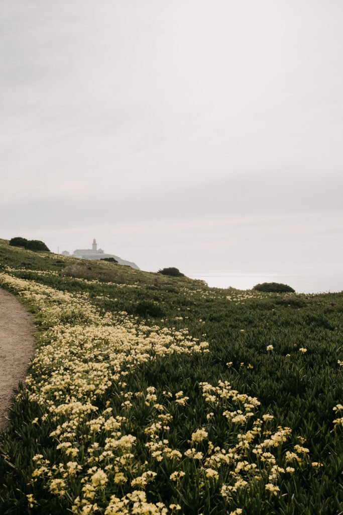 Praia da ursa, travel content, travel photography, content creator, travel photography, portugal