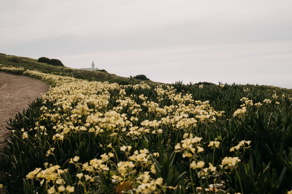 Praia da ursa, travel content, travel photography, content creator, travel photography, portugal