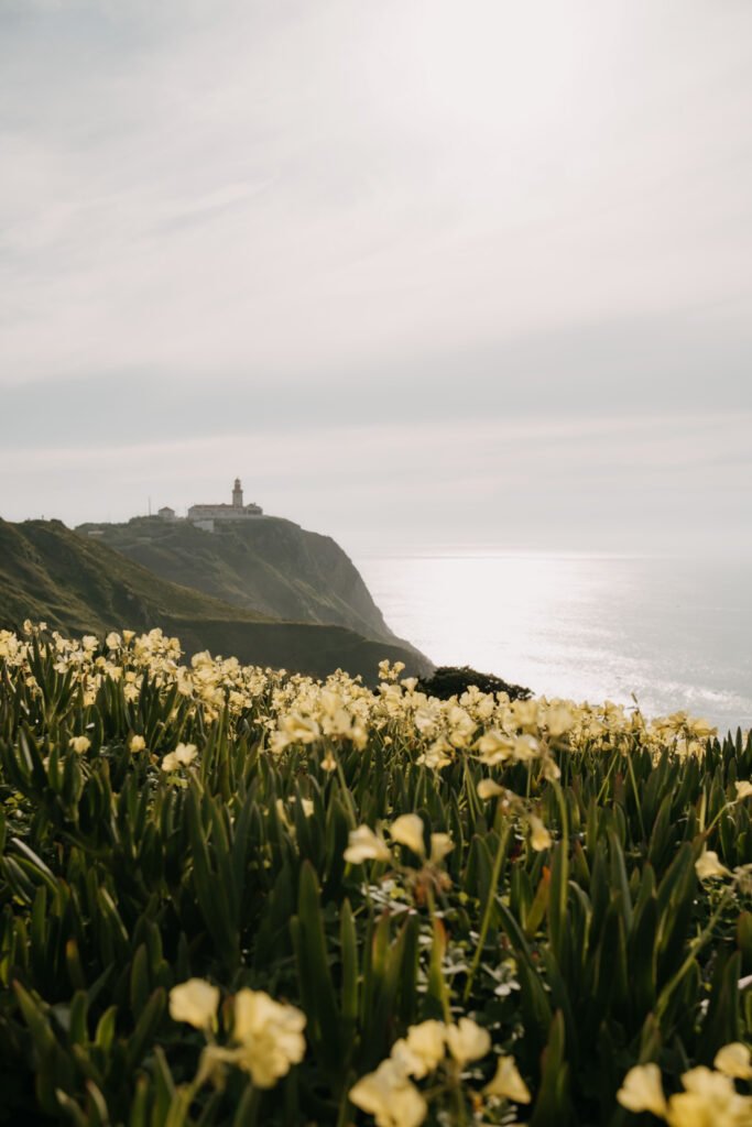 Praia da ursa, travel content, travel photography, content creator, travel photography, portugal