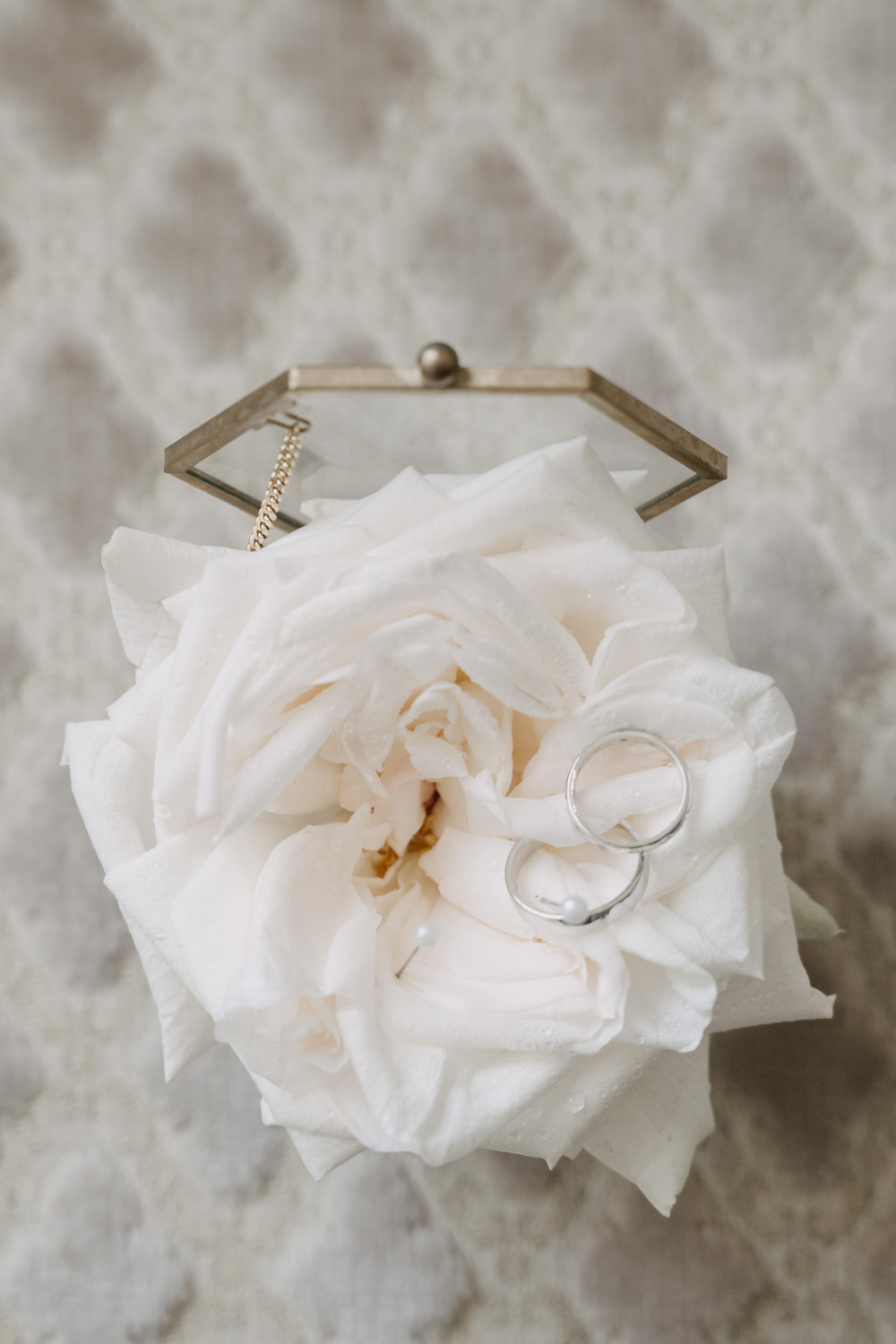 Wedding in Prague, Prague wedding photographer, chateau trnova, wedding venue czechia, wedding venue prague, prague wedding photographer